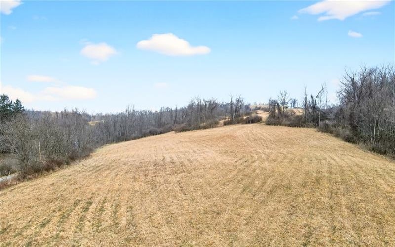 275 NEWMAN ROAD, Claysville, 15323, ,Farm-acreage-lot,For Sale,NEWMAN ROAD,1741705