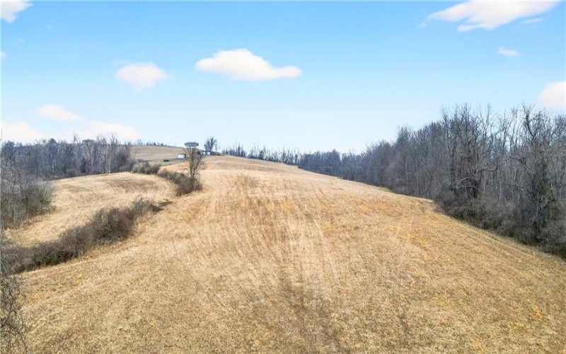 275 NEWMAN ROAD, Claysville, 15323, ,Farm-acreage-lot,For Sale,NEWMAN ROAD,1741705