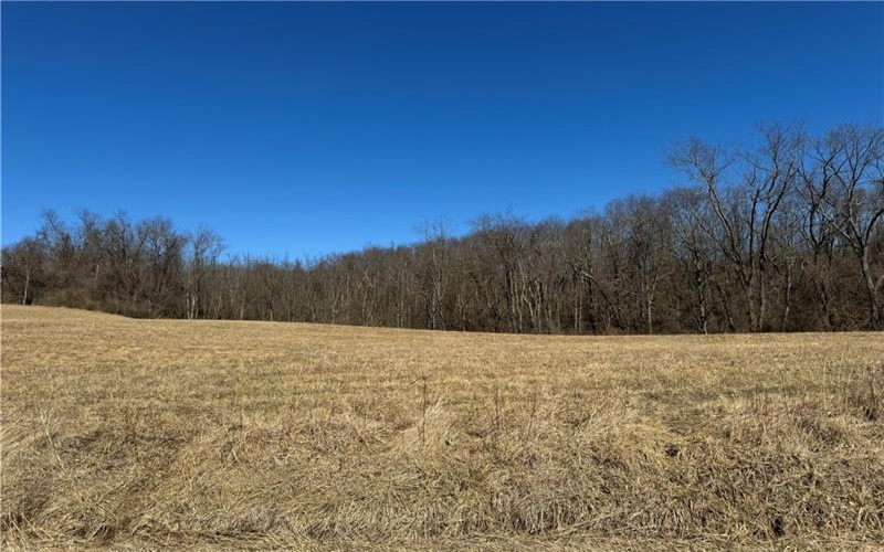 275 NEWMAN ROAD, Claysville, 15323, ,Farm-acreage-lot,For Sale,NEWMAN ROAD,1741705