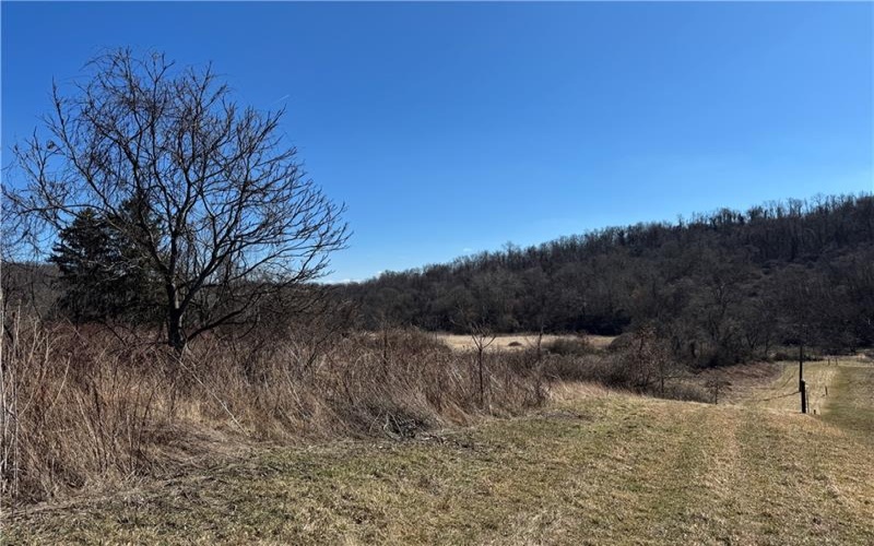 275 NEWMAN ROAD, Claysville, 15323, ,Farm-acreage-lot,For Sale,NEWMAN ROAD,1741705