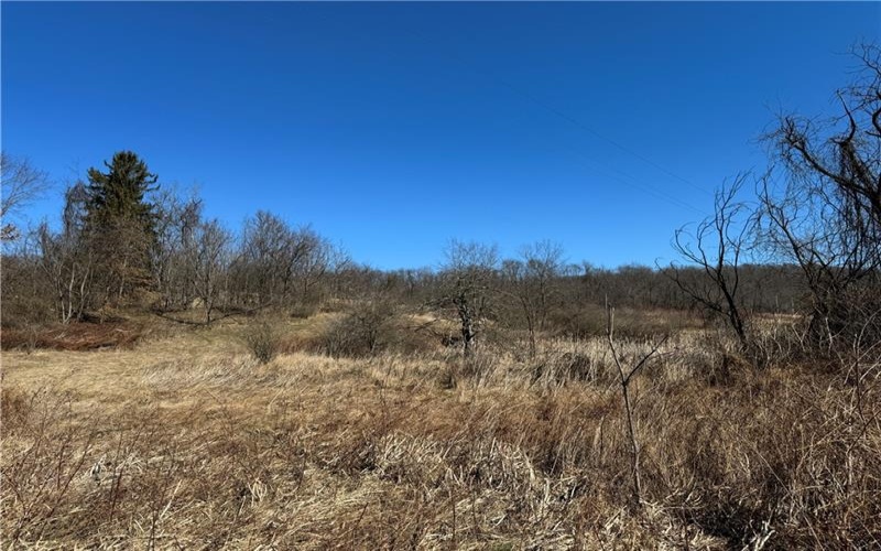 275 NEWMAN ROAD, Claysville, 15323, ,Farm-acreage-lot,For Sale,NEWMAN ROAD,1741705