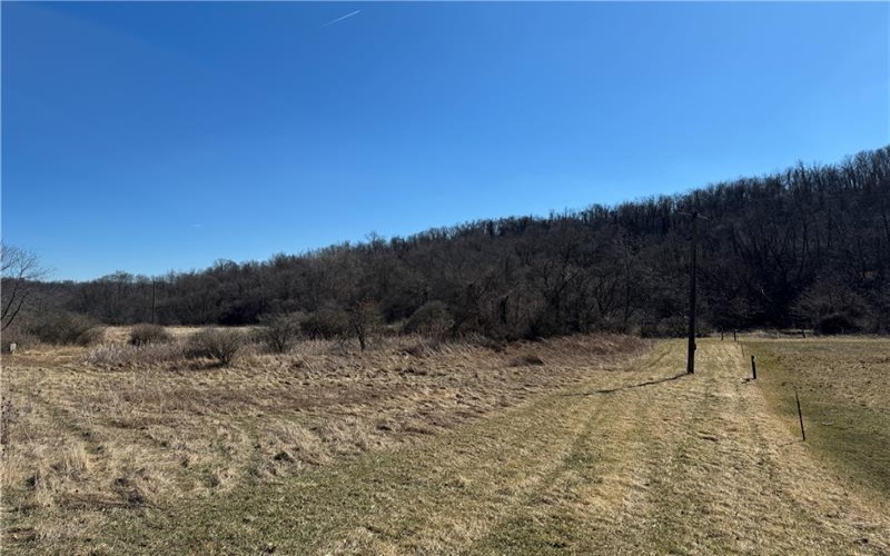 275 NEWMAN ROAD, Claysville, 15323, ,Farm-acreage-lot,For Sale,NEWMAN ROAD,1741705