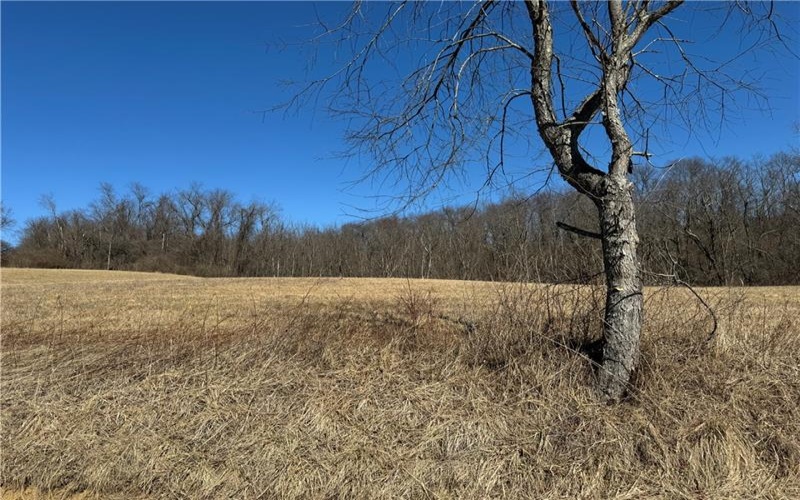 275 NEWMAN ROAD, Claysville, 15323, ,Farm-acreage-lot,For Sale,NEWMAN ROAD,1741705