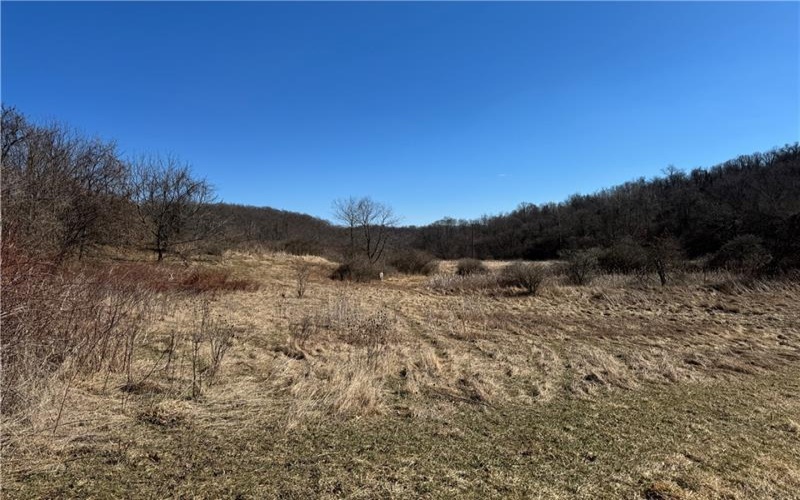 275 NEWMAN ROAD, Claysville, 15323, ,Farm-acreage-lot,For Sale,NEWMAN ROAD,1741705