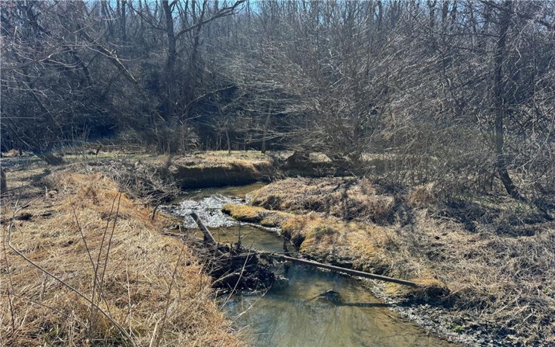 275 NEWMAN ROAD, Claysville, 15323, ,Farm-acreage-lot,For Sale,NEWMAN ROAD,1741705