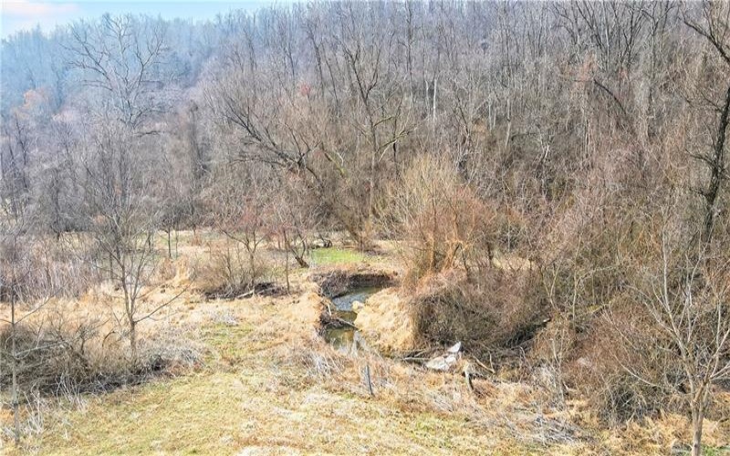 275 NEWMAN ROAD, Claysville, 15323, ,Farm-acreage-lot,For Sale,NEWMAN ROAD,1741705