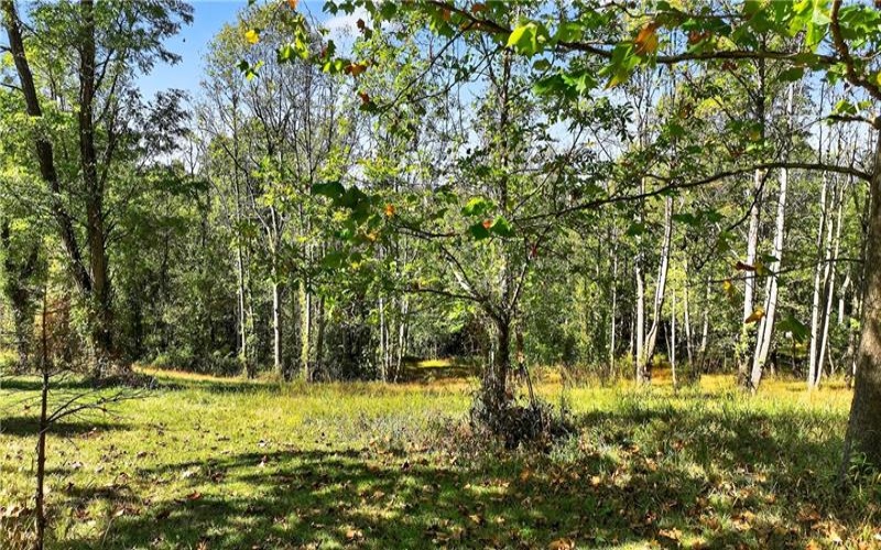 Lot #15 Warne Lane, Washington, 15301, ,Farm-acreage-lot,For Sale,Warne Lane,1723935