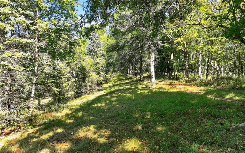 Lot #15 Warne Lane, Washington, 15301, ,Farm-acreage-lot,For Sale,Warne Lane,1723935