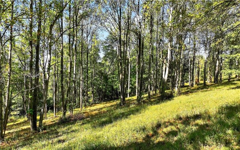Lot #15 Warne Lane, Washington, 15301, ,Farm-acreage-lot,For Sale,Warne Lane,1723935
