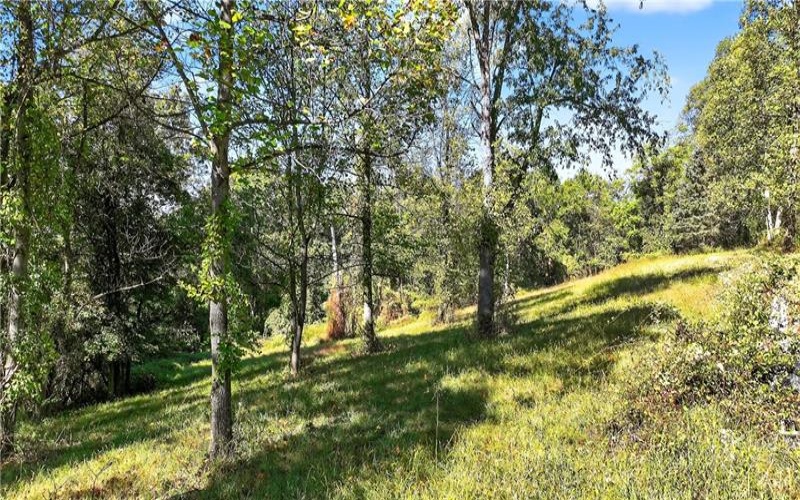 Lot #15 Warne Lane, Washington, 15301, ,Farm-acreage-lot,For Sale,Warne Lane,1723935