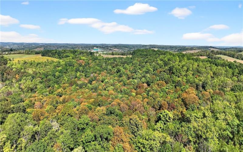 Lot #15 Warne Lane, Washington, 15301, ,Farm-acreage-lot,For Sale,Warne Lane,1723935