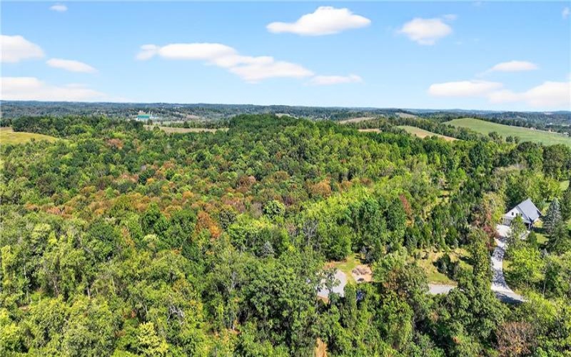 Lot #15 Warne Lane, Washington, 15301, ,Farm-acreage-lot,For Sale,Warne Lane,1723935