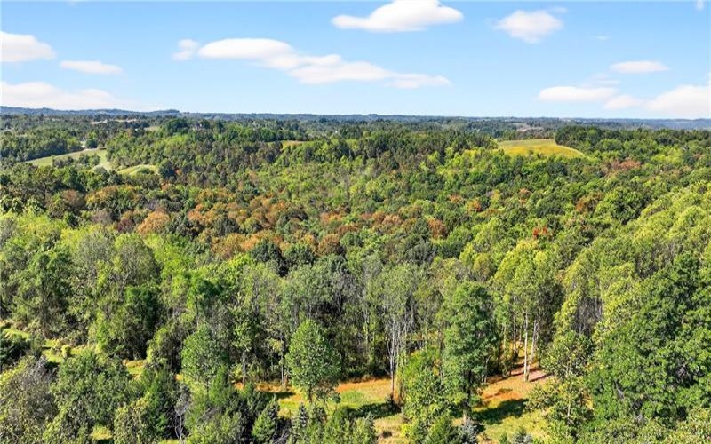 Lot #15 Warne Lane, Washington, 15301, ,Farm-acreage-lot,For Sale,Warne Lane,1723935
