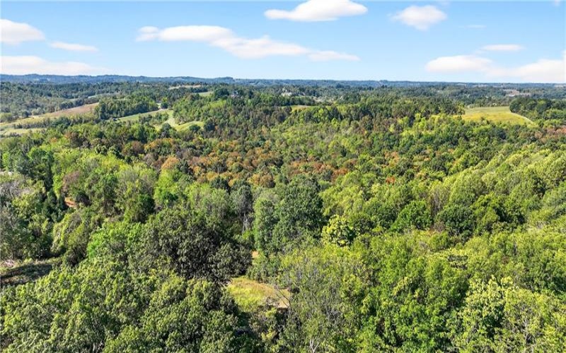 Lot #15 Warne Lane, Washington, 15301, ,Farm-acreage-lot,For Sale,Warne Lane,1723935