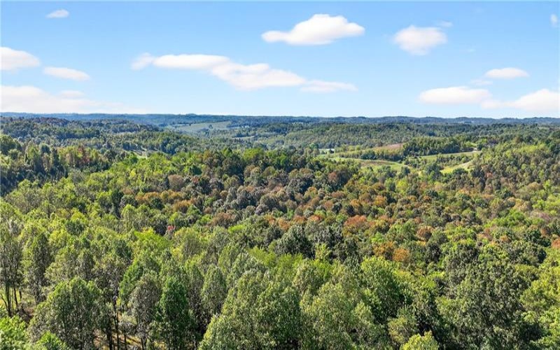Lot #15 Warne Lane, Washington, 15301, ,Farm-acreage-lot,For Sale,Warne Lane,1723935