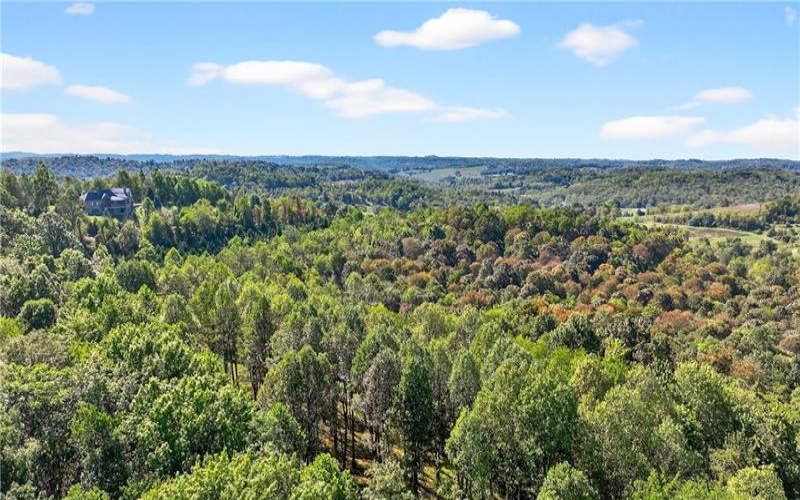 Lot #15 Warne Lane, Washington, 15301, ,Farm-acreage-lot,For Sale,Warne Lane,1723935