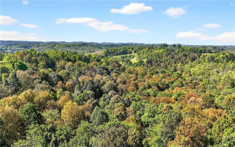Lot #15 Warne Lane, Washington, 15301, ,Farm-acreage-lot,For Sale,Warne Lane,1723935