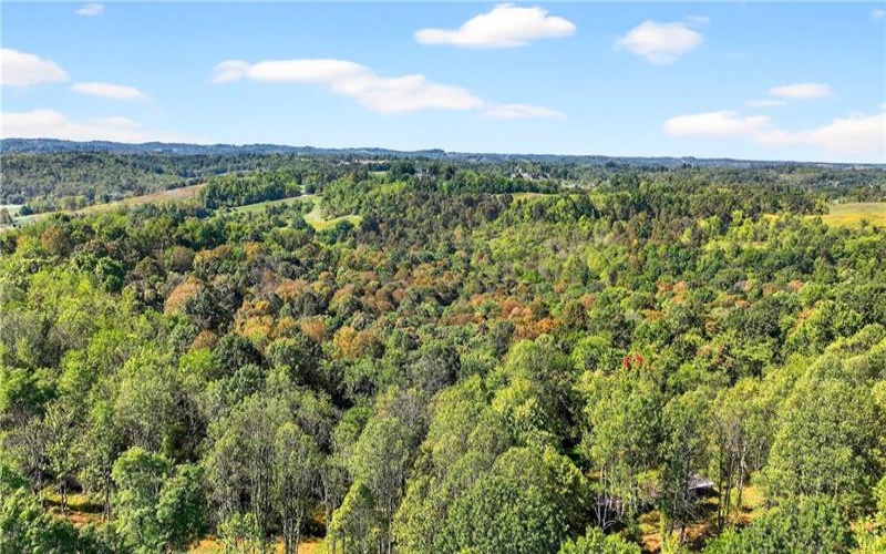 Lot #15 Warne Lane, Washington, 15301, ,Farm-acreage-lot,For Sale,Warne Lane,1723935
