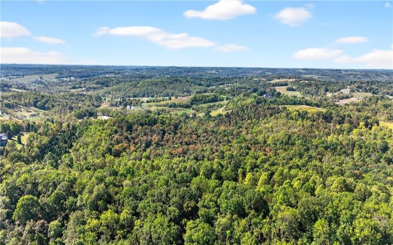 Lot #15 Warne Lane, Washington, 15301, ,Farm-acreage-lot,For Sale,Warne Lane,1723935