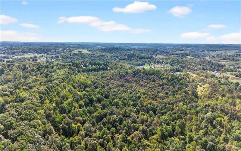 Lot #15 Warne Lane, Washington, 15301, ,Farm-acreage-lot,For Sale,Warne Lane,1723935