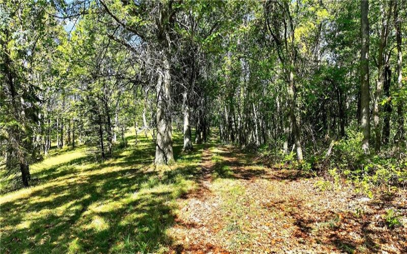 Lot #15 Warne Lane, Washington, 15301, ,Farm-acreage-lot,For Sale,Warne Lane,1723935