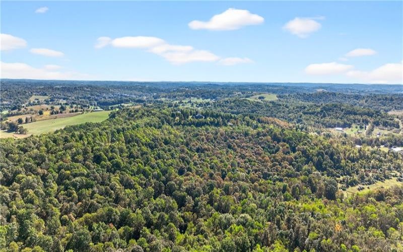 Lot #15 Warne Lane, Washington, 15301, ,Farm-acreage-lot,For Sale,Warne Lane,1723935