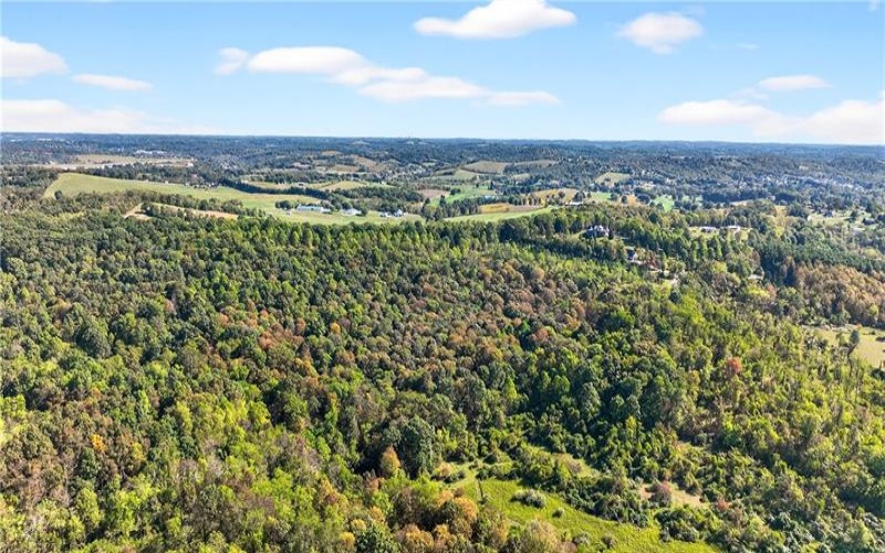 Lot #15 Warne Lane, Washington, 15301, ,Farm-acreage-lot,For Sale,Warne Lane,1723935