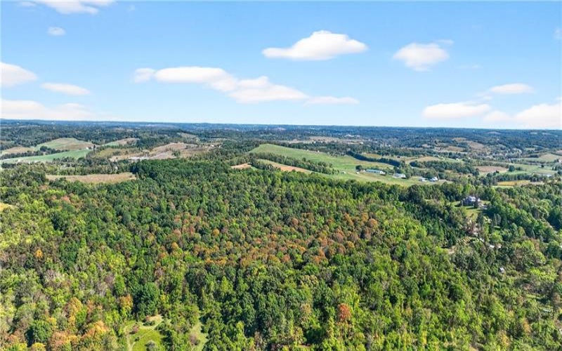 Lot #15 Warne Lane, Washington, 15301, ,Farm-acreage-lot,For Sale,Warne Lane,1723935