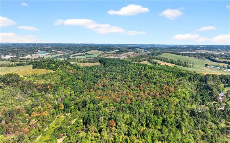 Lot #15 Warne Lane, Washington, 15301, ,Farm-acreage-lot,For Sale,Warne Lane,1723935