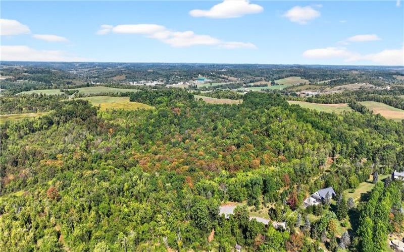 Lot #15 Warne Lane, Washington, 15301, ,Farm-acreage-lot,For Sale,Warne Lane,1723935