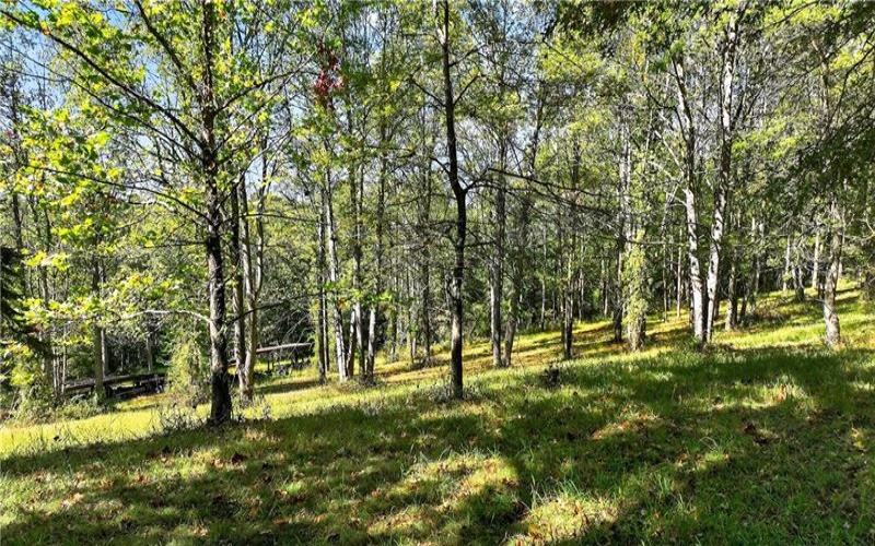 Lot #15 Warne Lane, Washington, 15301, ,Farm-acreage-lot,For Sale,Warne Lane,1723935