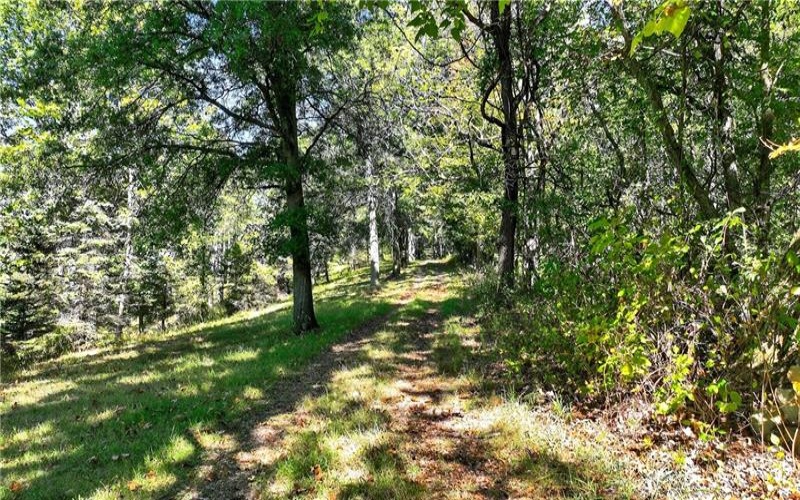 Lot #15 Warne Lane, Washington, 15301, ,Farm-acreage-lot,For Sale,Warne Lane,1723935
