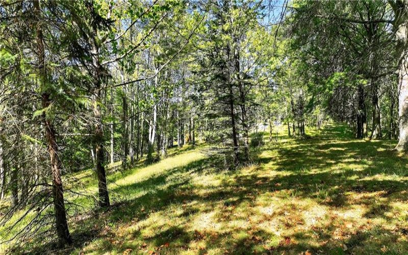 Lot #15 Warne Lane, Washington, 15301, ,Farm-acreage-lot,For Sale,Warne Lane,1723935