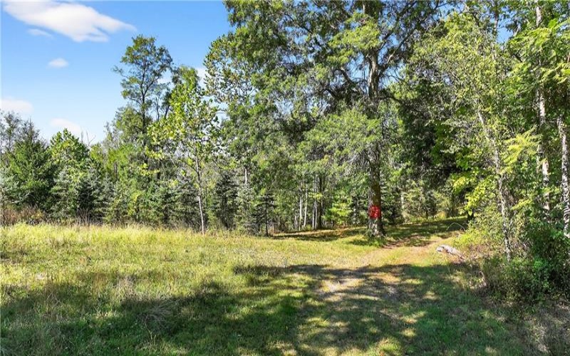 Lot #15 Warne Lane, Washington, 15301, ,Farm-acreage-lot,For Sale,Warne Lane,1723935