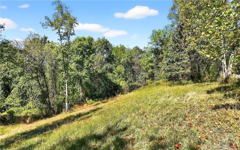 Lot #15 Warne Lane, Washington, 15301, ,Farm-acreage-lot,For Sale,Warne Lane,1723935