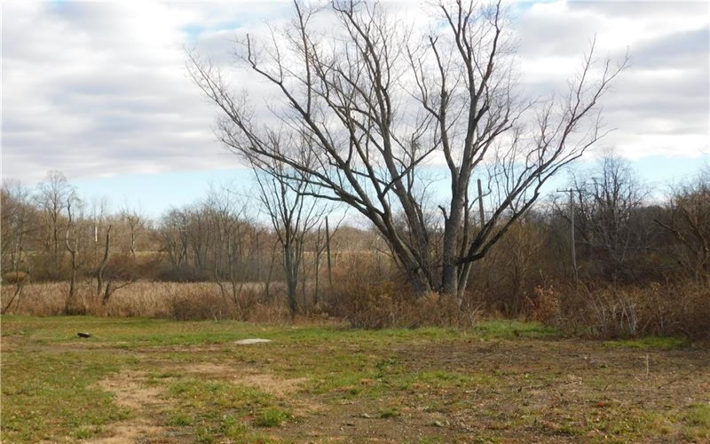 295 Walnut Hill Road, Uniontown, 15401, ,Farm-acreage-lot,For Sale,Walnut Hill Road,1730803