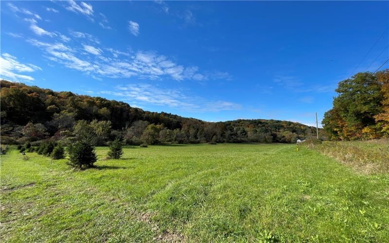 Lot 1 Shag Bark Grove / Mamont Road, Murrysville, 15668, ,Farm-acreage-lot,For Sale,None,Shag Bark Grove / Mamont Road,1724102