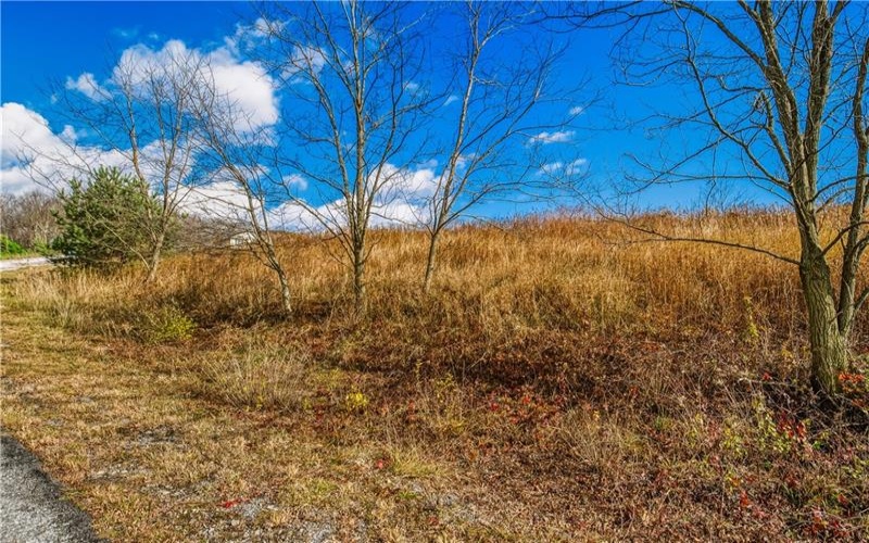 000 Oak Crest Drive, Stoystown, 15563, ,Farm-acreage-lot,For Sale,Oak Crest Drive,1735467