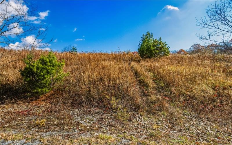 000 Oak Crest Drive, Stoystown, 15563, ,Farm-acreage-lot,For Sale,Oak Crest Drive,1735467