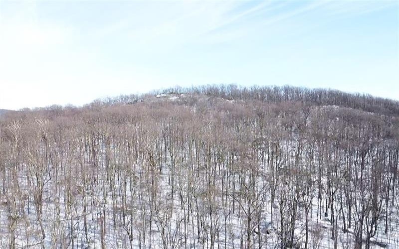 235 Pine Knob Rd, Hopwood, 15445, 2 Bedrooms Bedrooms, 4 Rooms Rooms,1.1 BathroomsBathrooms,Residential,For Sale,Pine Knob Rd,1735468
