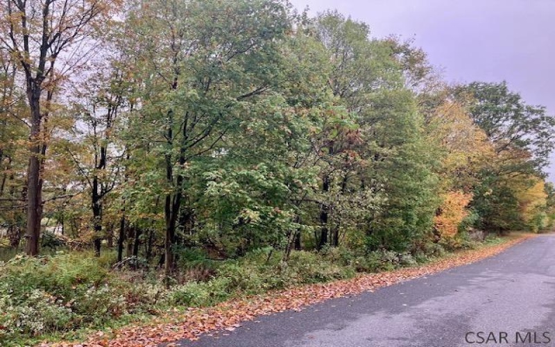 0 Pike Road, Johnstown, 15909, ,Farm-acreage-lot,For Sale,none,Pike Road,1739068