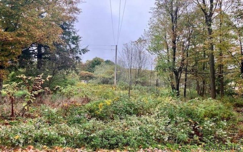 0 Pike Road, Johnstown, 15909, ,Farm-acreage-lot,For Sale,none,Pike Road,1739068