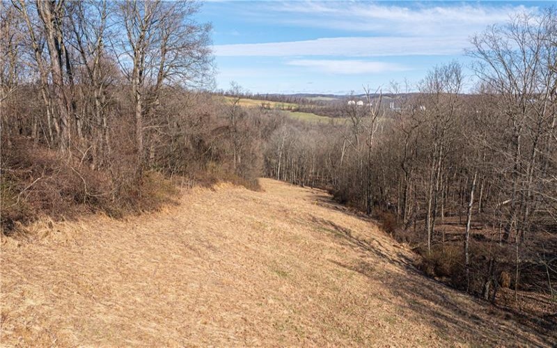 560 Old Hickory Ridge Rd, Washington, 15301, ,Farm-acreage-lot,For Sale,none,Old Hickory Ridge Rd,1744409