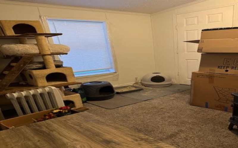 516 Hill St, Mount Pleasant, 15666, 3 Bedrooms Bedrooms, 6 Rooms Rooms,2 BathroomsBathrooms,Residential,For Sale,Hill St,1741938