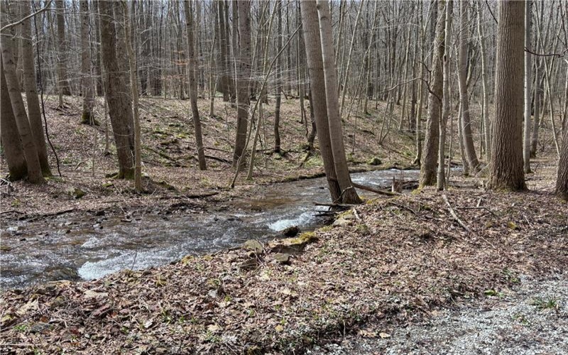 Lot 1 Neals Run Road, Champion, 15622, ,Farm-acreage-lot,For Sale,Neals Run Road,1724314