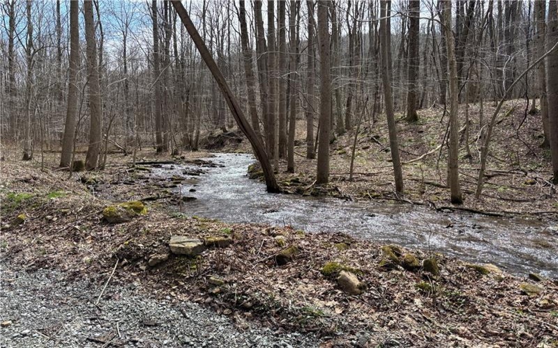 Lot 1 Neals Run Road, Champion, 15622, ,Farm-acreage-lot,For Sale,Neals Run Road,1724314