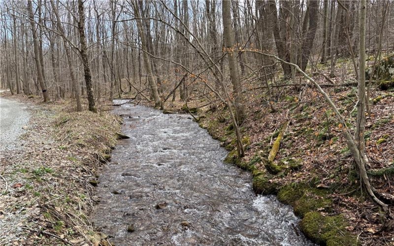 Lot 1 Neals Run Road, Champion, 15622, ,Farm-acreage-lot,For Sale,Neals Run Road,1724314