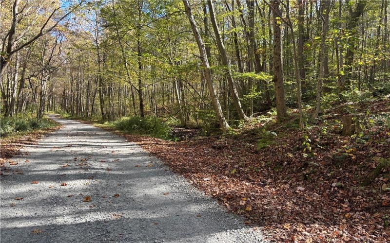 Lot 1 Neals Run Road, Champion, 15622, ,Farm-acreage-lot,For Sale,Neals Run Road,1724314