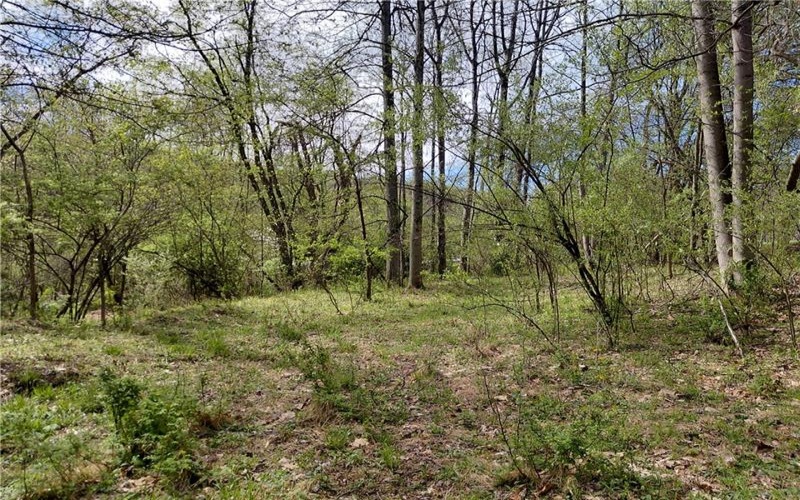 524 Patterson Rd, Bolivar, 15923, ,Residential,For Sale,Patterson Rd,1739218