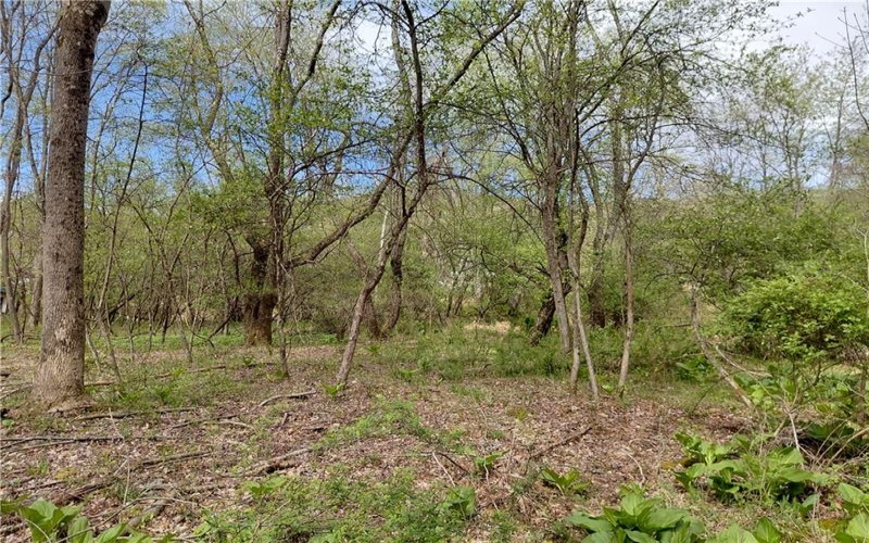 524 Patterson Rd, Bolivar, 15923, ,Residential,For Sale,Patterson Rd,1739218